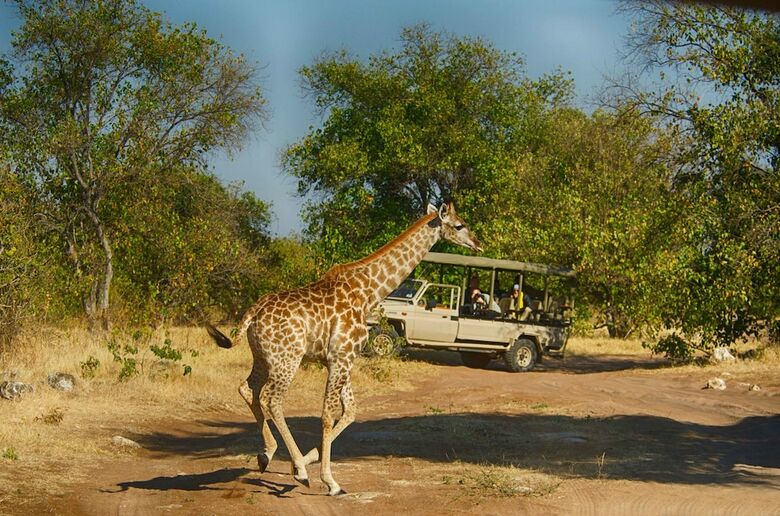 Tlouwana Camp