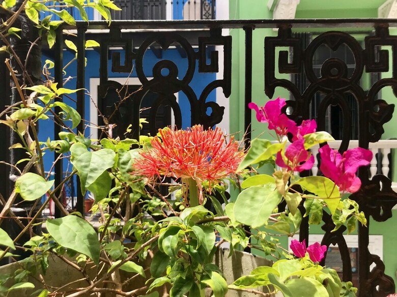 Apartamentos Old San Juan Rentals