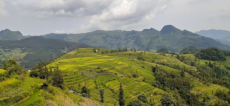 Bed & Breakfast Sa House Bac Ha