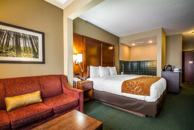 Hotel Comfort Suites Madison