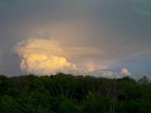 Nico Lagoon Hotel