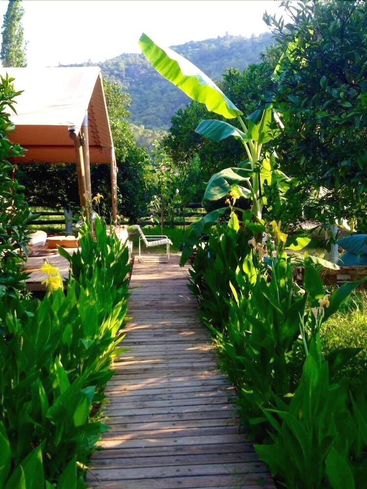 Campo Portakal Eco Glamping Cirali