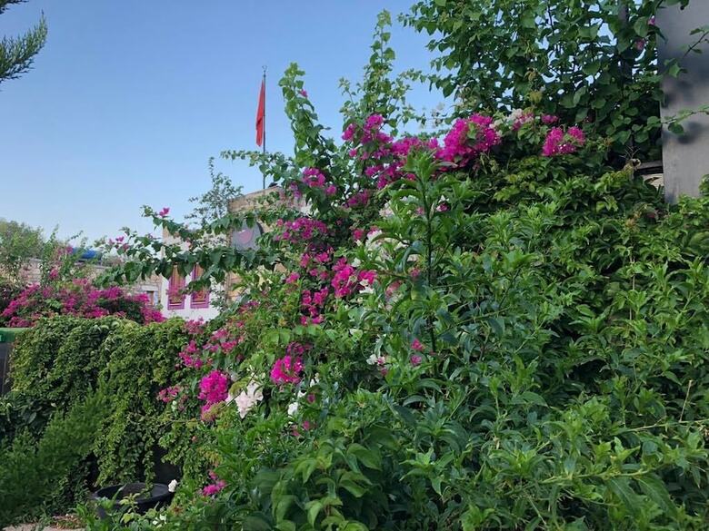 Hotel Pepecura Bodrum