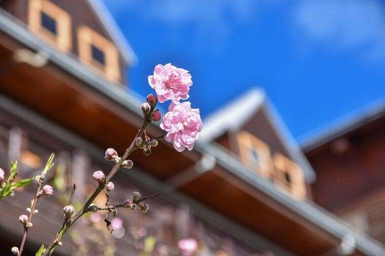 Hotel Beverly B&B