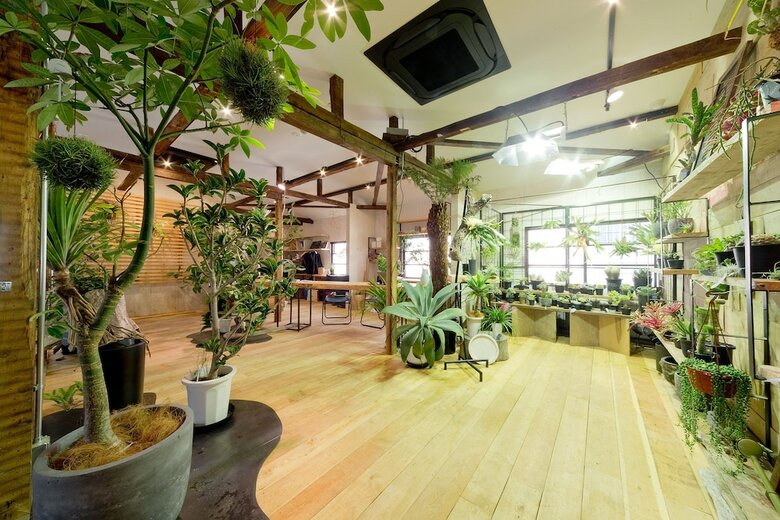 Hostal Glam Lodge - Hostel
