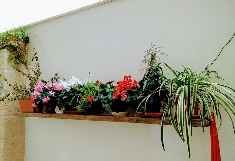Bed & Breakfast Casa Della Nonna