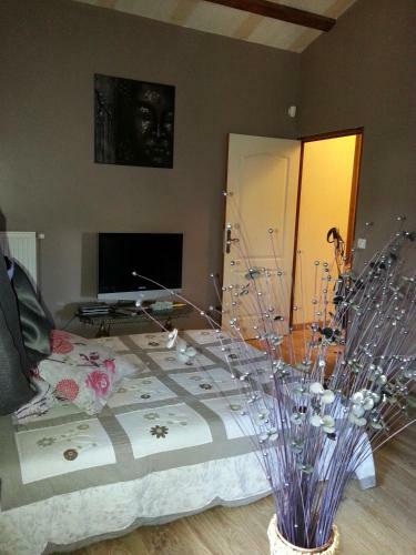 Bed & Breakfast Ch�teau Des Aiguilles