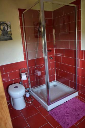 Bed & Breakfast Ch�teau Des Aiguilles