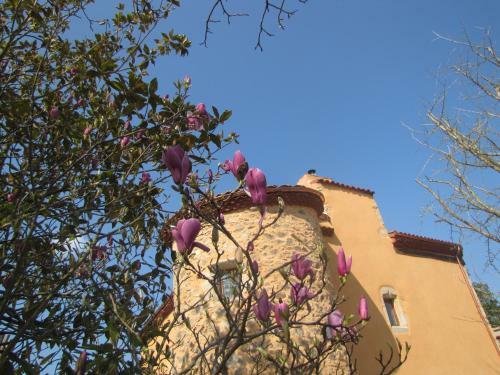 Bed & Breakfast Ch�teau Des Aiguilles