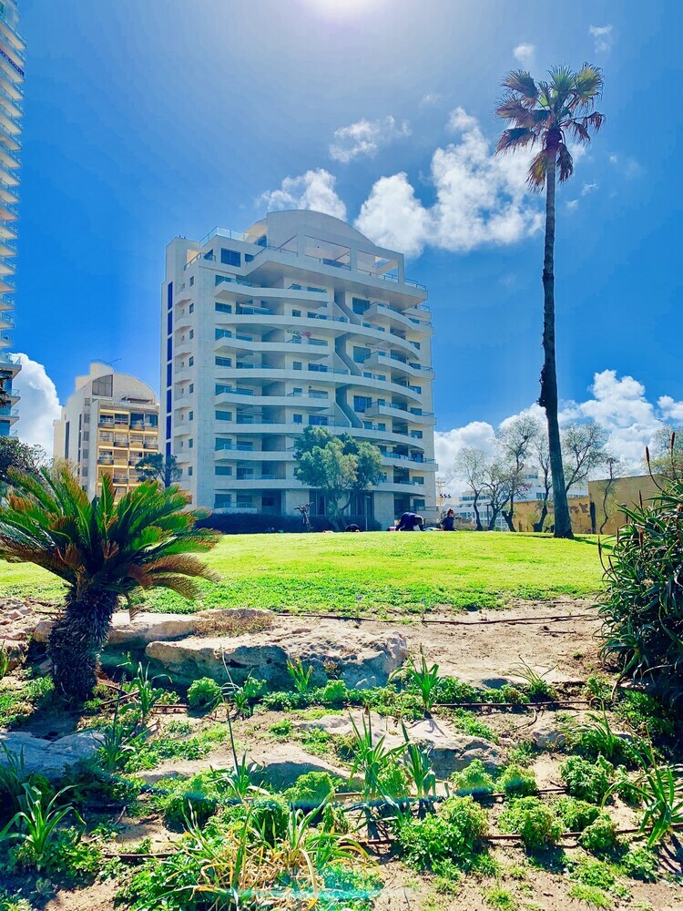 Royal King David Apartment�