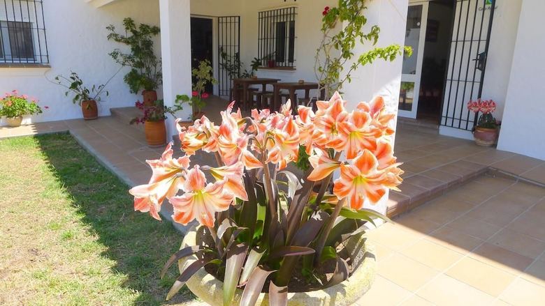 Casa Fina Hotel Rural - Adults Only