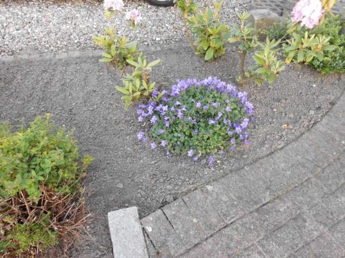 Apartamento Ferienwohnung Am Selenter See