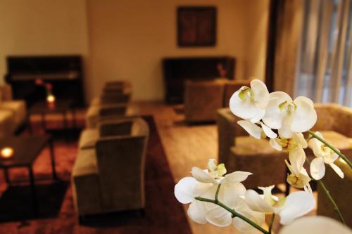 Hotel See Park Janssen