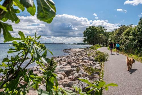 Apartamentos Ostseehaus B�nger