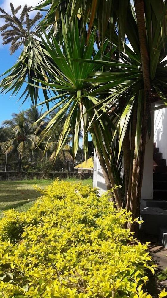 Apartamentos Les Appartements Katik�a
