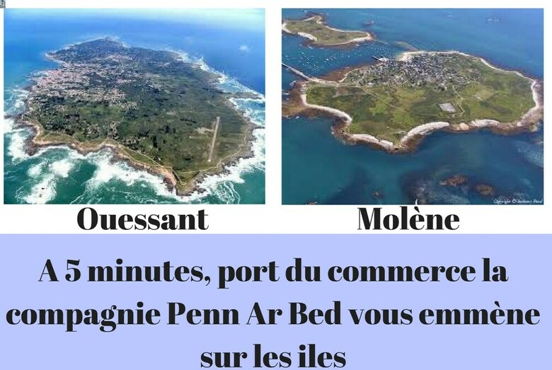 Apartamento Appart Cosy Brest