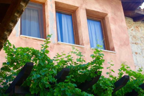 Apartamento Fruit Garden Villa