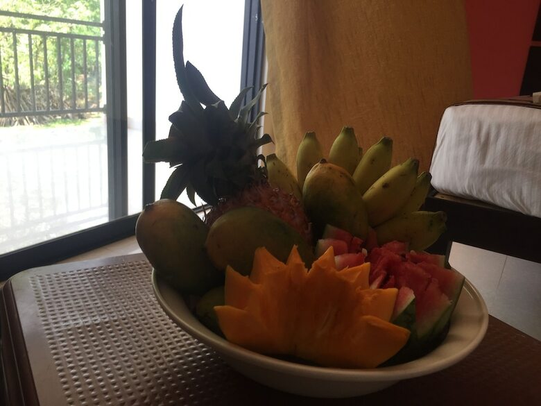 Hotel Organic Garden Sigiriya