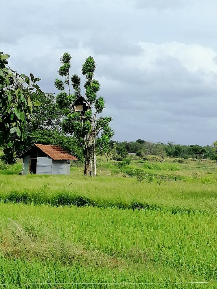 Hotel Organic Garden Sigiriya