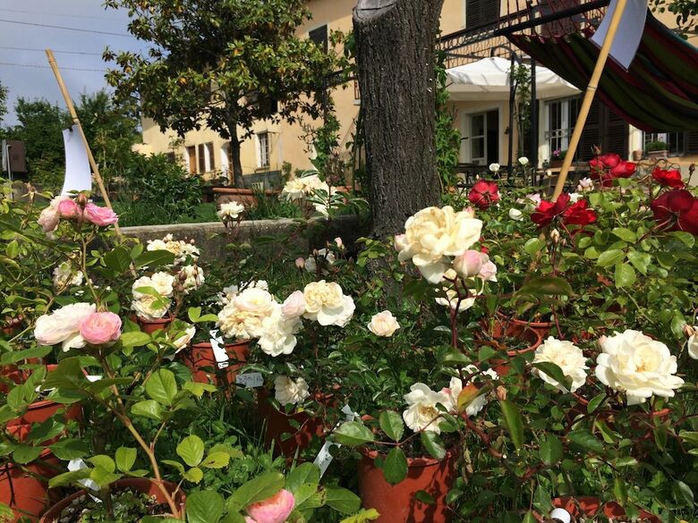 Bed & Breakfast Cascina Vicentini