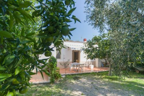 Apartamento L'agrumeto