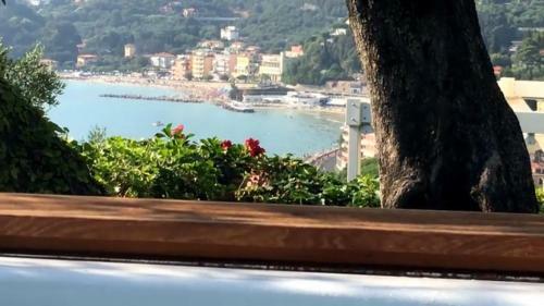 Bed & Breakfast Velamica Resort
