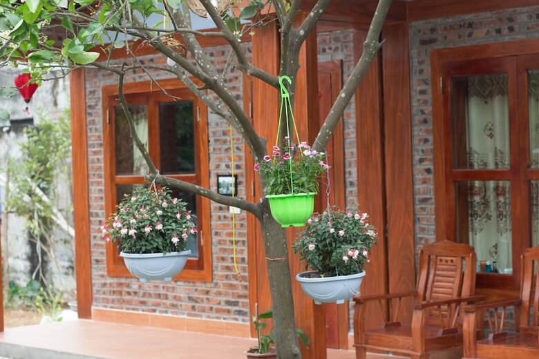 Hotel Tam Coc Moonlight Bungalow