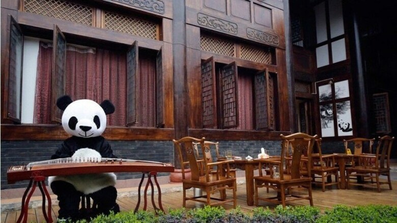 Posada Many Panda Inn Emeishan