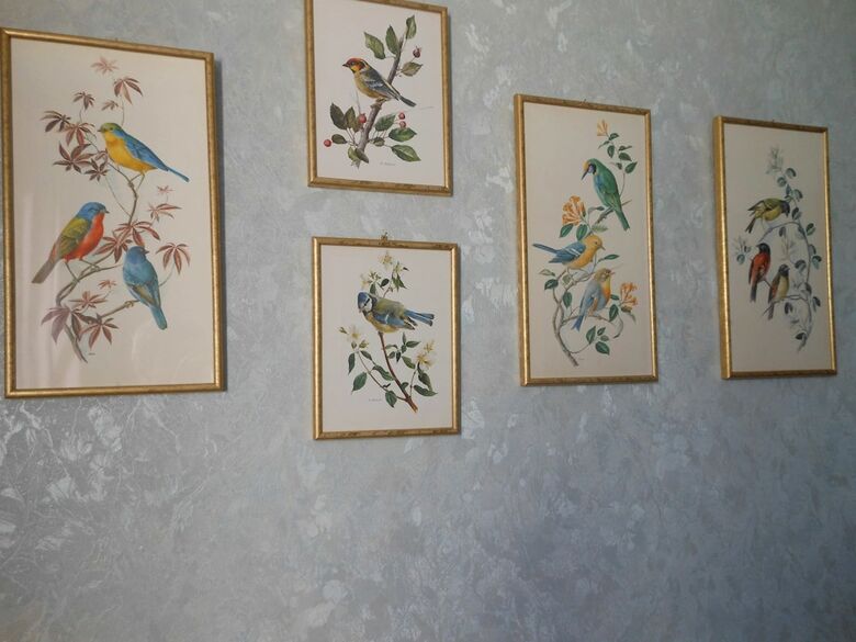 Bed & Breakfast Au Soleil D'albi