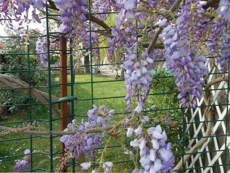 Bed & Breakfast Au Soleil D'albi