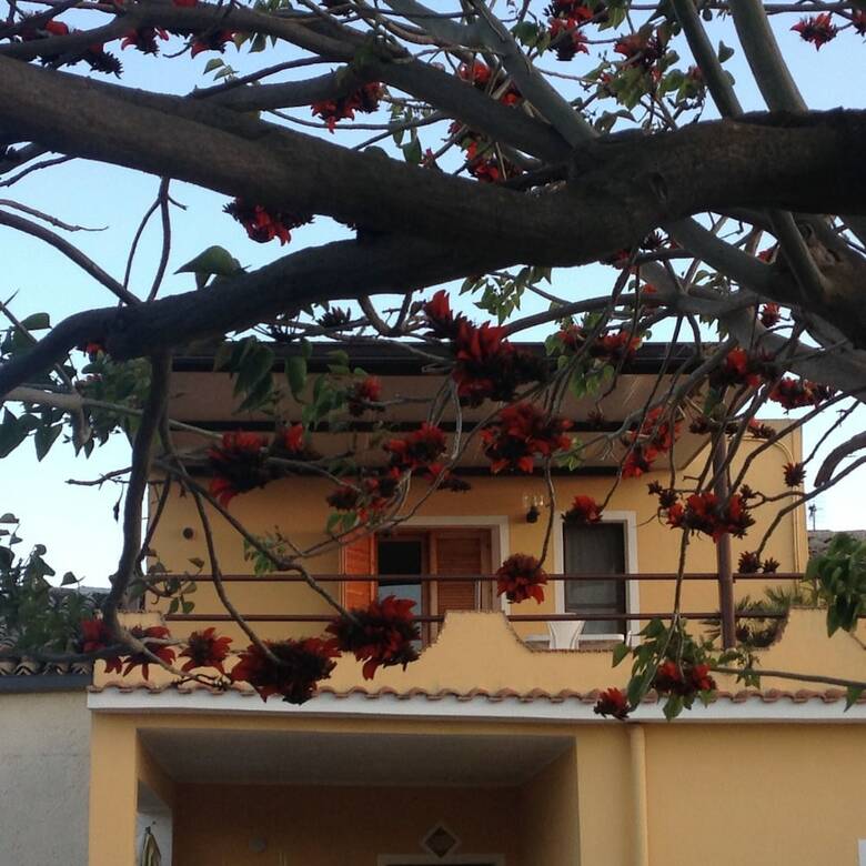 Apartamento Castellana