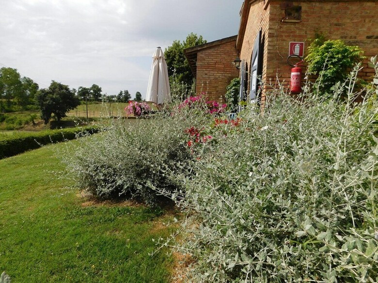 Agroturismo Macciangrosso