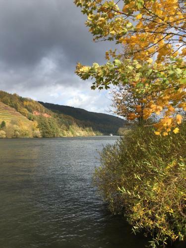 Hostal Gasthof Centgraf