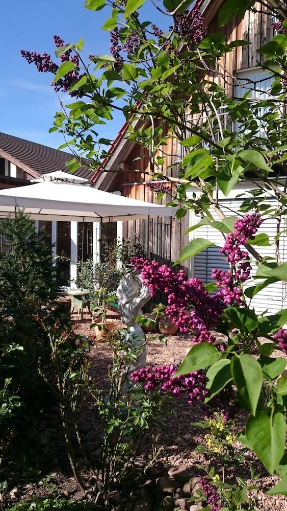 Hostal Adler Landhotel