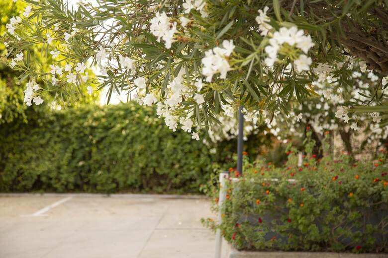 Apartamento Villa Fratelli Vivaldi