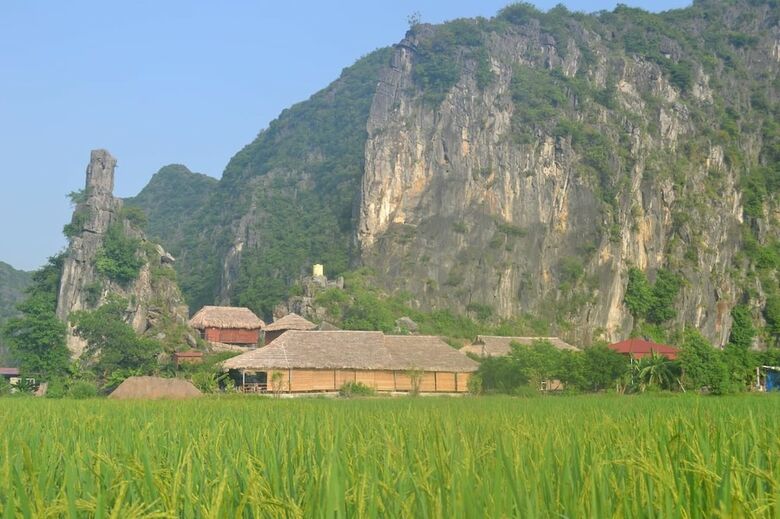 Hotel Tam Coc Homestay