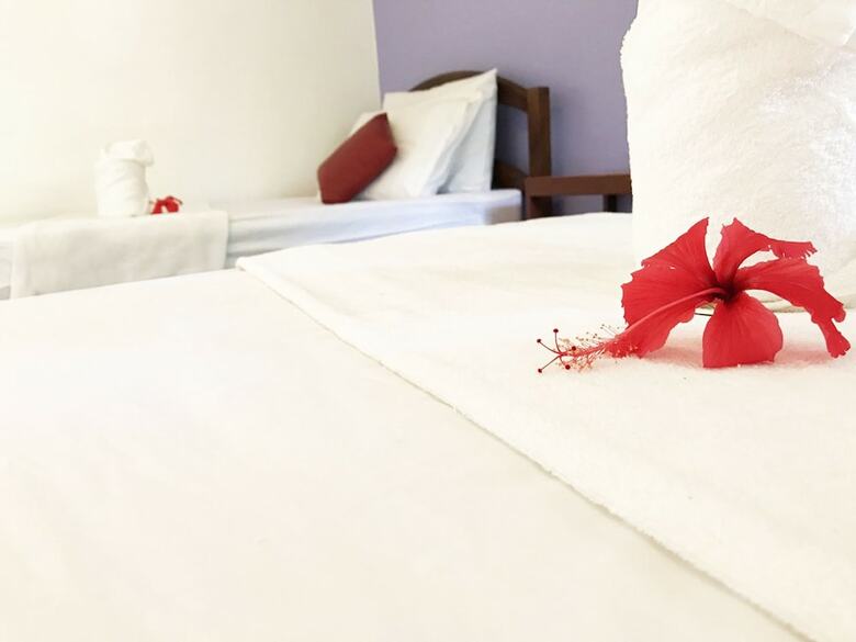 Hotel Yoghurt Home