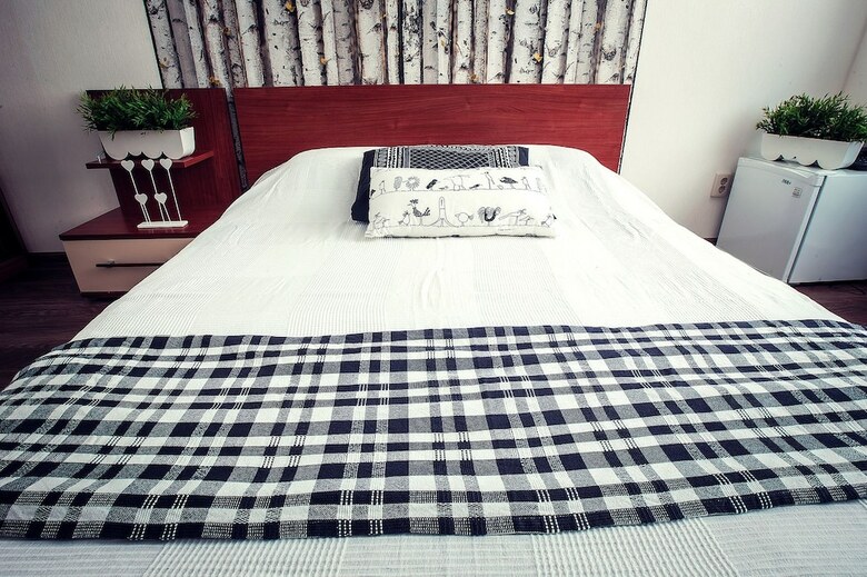Park Hotel Shishka