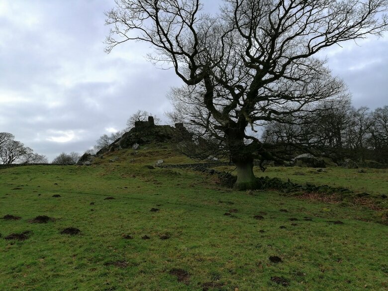 Hotel Bulls Head