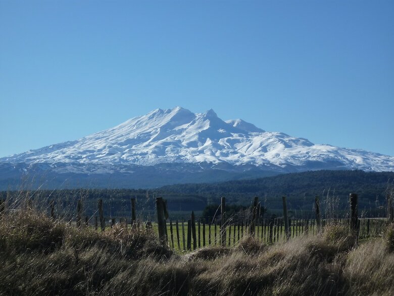 Motel Tongariro Springs Boutique Suites