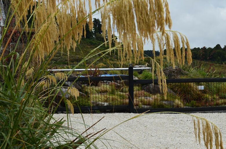 Motel Tongariro Springs Boutique Suites