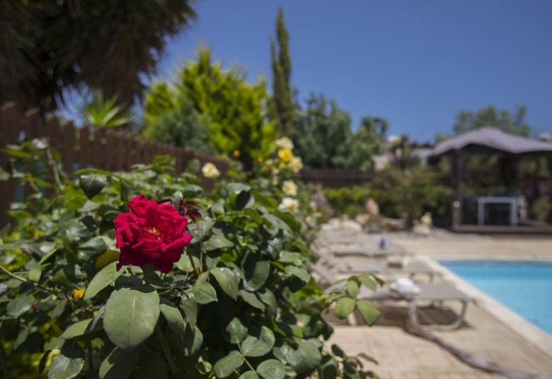 Ayia Napa Villa Napa Gardens