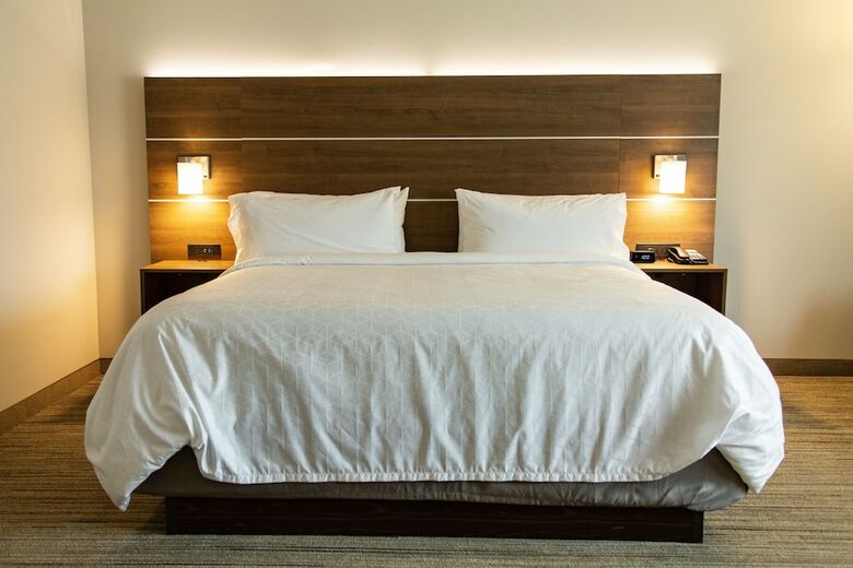 Hotel Holiday Inn Express Macon North