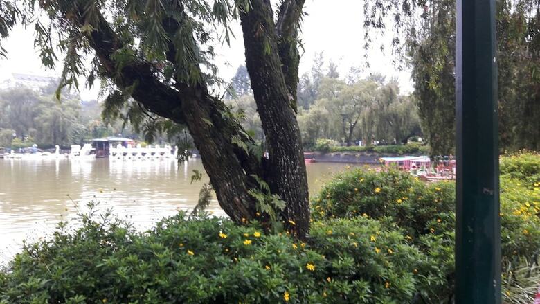 Grand View Residences Near Burnham Park