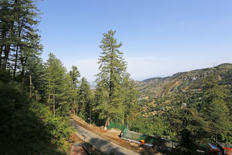 Hotel The Naldehra