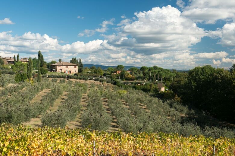 Apartamento Il Coltro