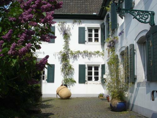 Hostal Rheinriver Guesthouse - Art Hotel