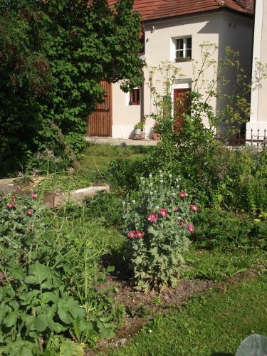 Apartamentos Historischer Pfarrhof Niederleierndorf