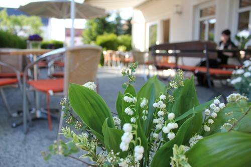 Hotel Lindenhof