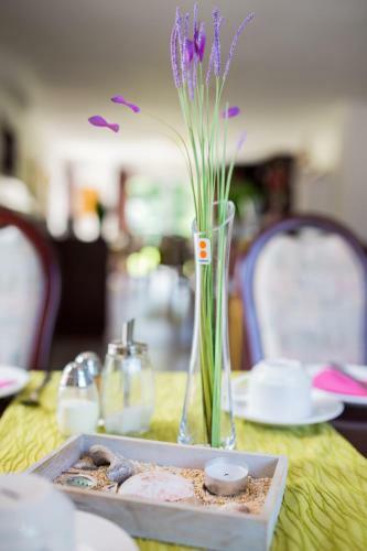 Arthotel Mare